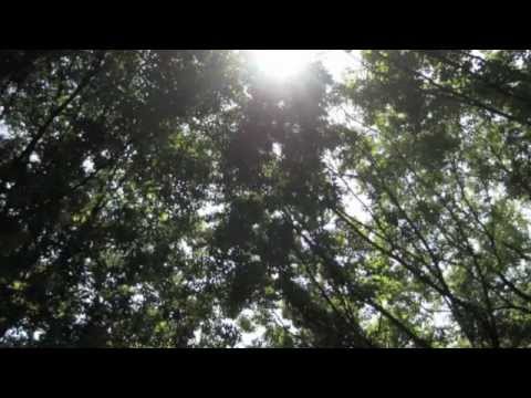 ミラクル