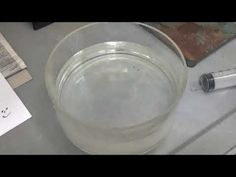 PP080 - The Ammonia Fountain