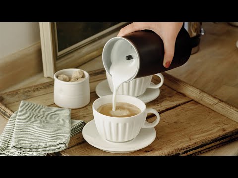 Dualit's Handheld Milk Frother