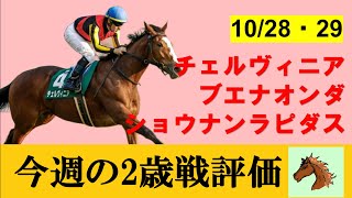【10月4週目勝ち上がり2歳馬評価】チェルヴィニアが出世レースを圧勝！2.2億円のドゥラメンテ産駒も堂々の勝ち上がり。