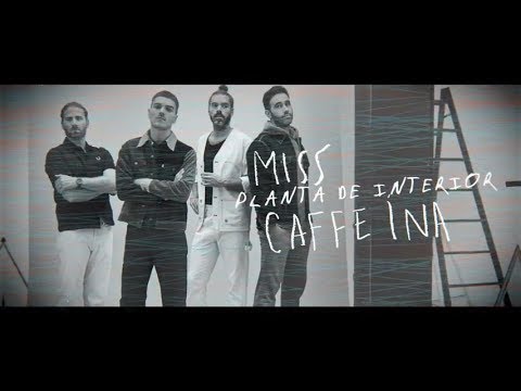 Video thumbnail for Planta de interior