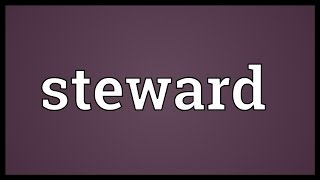 Download lagu Steward Meaning mp3