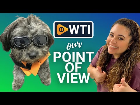 Small Dog Goggles - WTI product video review