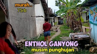 Download lagu Rumah tempat ngono Ujung Kampung Tegal Sawo Tuban selatan Nuansa Kuno musim Paceklik. mp3