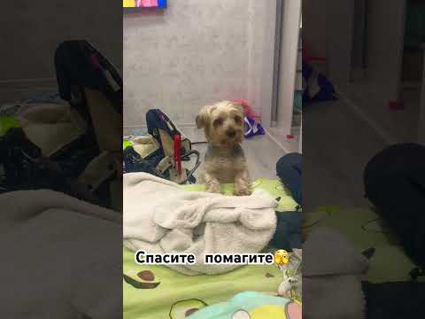 #baby #funny #cute #cutebaby #mainpoint #sunlounge #mainidea #sunlounger #sunloungers #mainthing