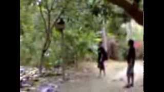 Download lagu Alexa Selagi Ku Mampu - Jalan2 Gn. Wosii Ampana Kota Part 2) mp3