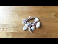 Let’s learn the alphabet with Sea Shells