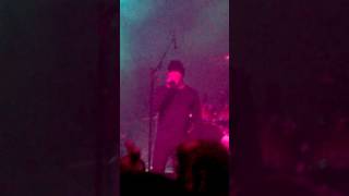 mesh - the fixer (one verse)