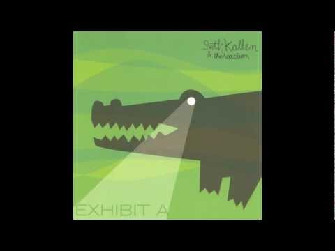 Seth Kallen & The Reaction - Shake It Up