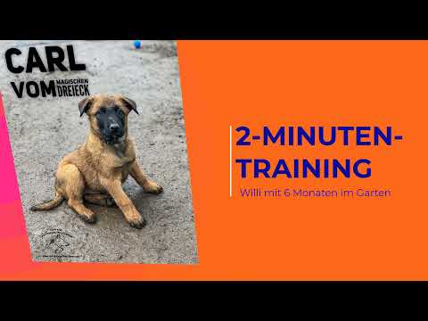 2-Minutentraining: Sitz, Platz, Steh, Fuß