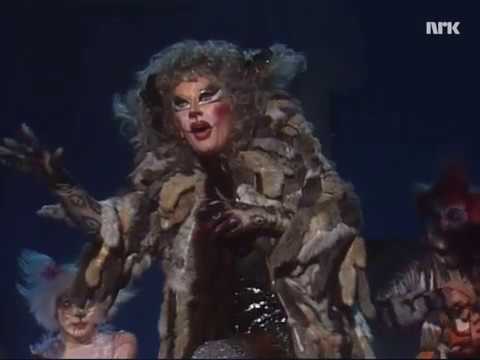 Cats Norway 1985 Minest (Memory) - Kari RASMUSSEN