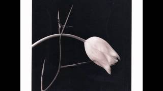 Gidon Kremer - Pachouli (Piazzolla)