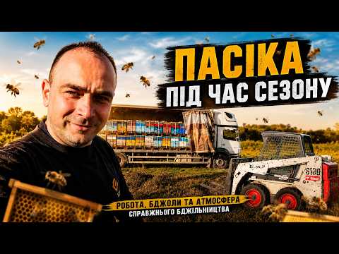 Мед Липа 100% - 1 л (1,4 кг) - фото 1 - id-p2267188258