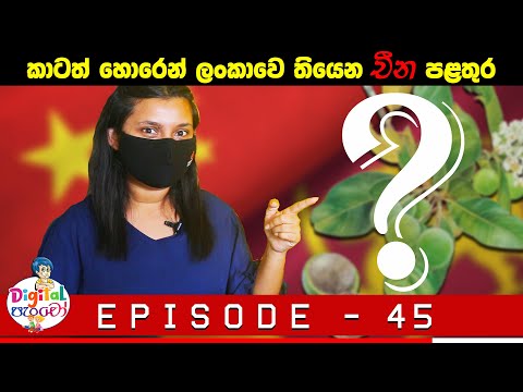 Neth FM - Digital පැංචෝ | Digital Pancho  - Episode 45