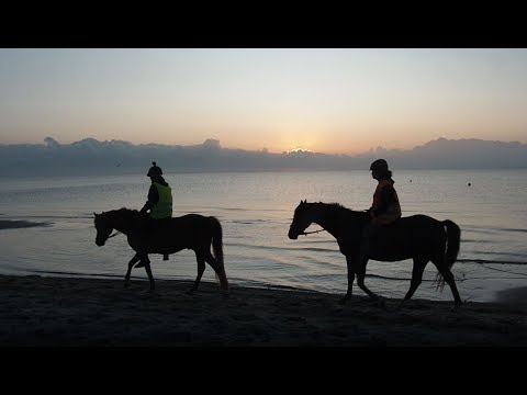 Video 18 aus  Ferienhof Thomsen