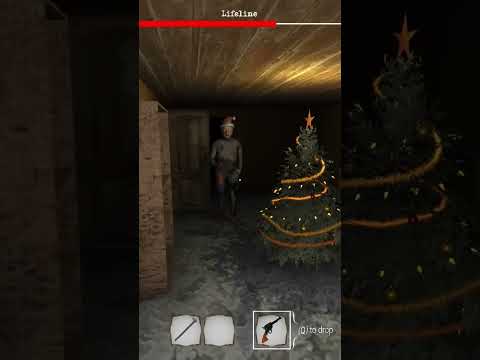 Revolver Vs Shotgun #granny #dvloper #thetwins