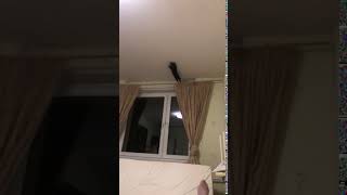 Video 3