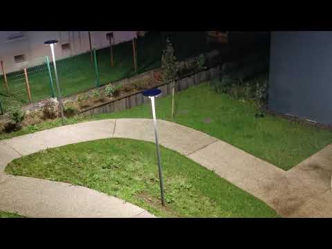 Lorient's morning in covid 19🎉