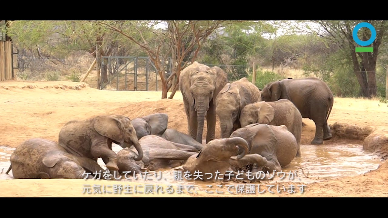 アフリカ・ケニア北部～未来を背負うコミュニティ～