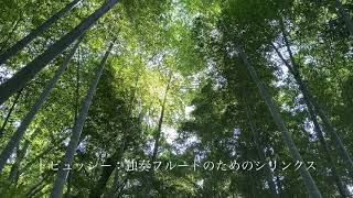 Download lagu ドビュッシー：シリンクス 'Syrinx' for solo flute mp3