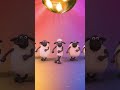 Shaun The Sheep Disco Dancing Shorts