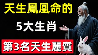 天生鳳凰命的5大生肖女，漂亮又旺夫，第3名天生麗質！#修行思維 #修行 #福報 #禪 #道德經 #覺醒 #開悟 #禅修