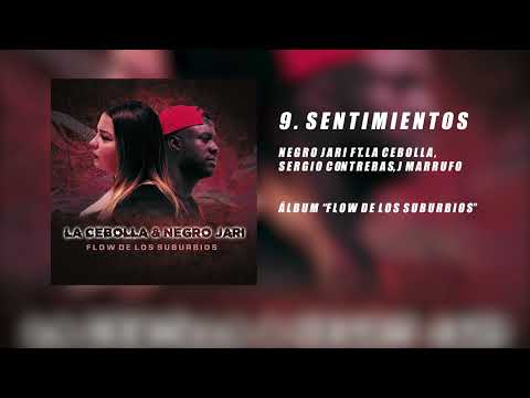 9. Negro Jari - Sentimientos Ft. La Cebolla, Sergio Contreras, J Marrufo (Álbum "FDLS")