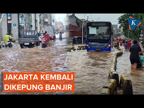 Banjir Jakarta: 35 RT Terendam, Pohon Tumbang, Satu Tewas