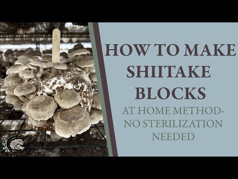 How to Make Shiitake Grow Blocks at Home