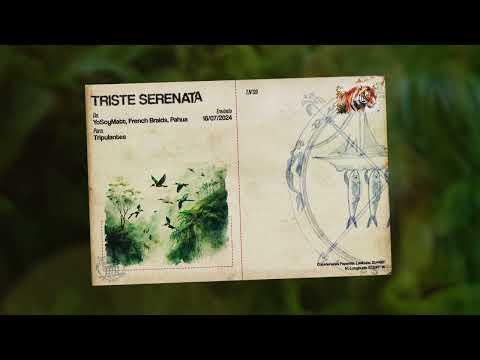 YoSoyMatt, French Braids, Pahua - Triste Serenata - Track 9 (Official Visualizer)