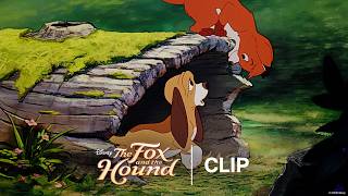 Tod & Copper Meet - Official Clip