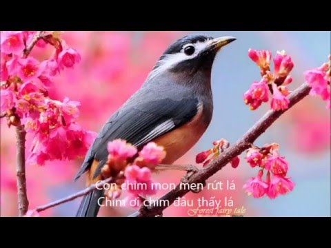 Tình khúc bốn mùa - Uyên Dung