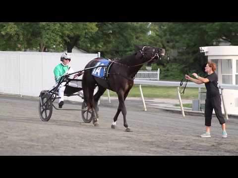 Jimmy Takter 2016 Recap