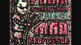 Pama Internacional feat Mad Professor / Savior Dub