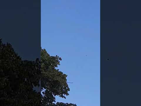 Greenwich park london england