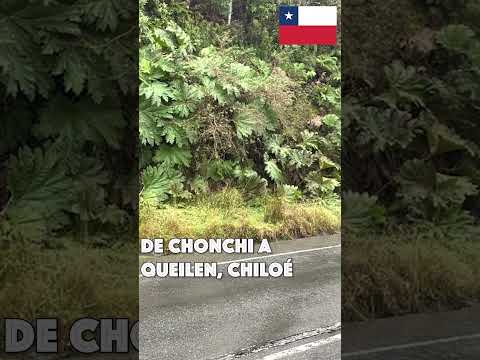 De Chonchi a Queilen, Provincia de Chiloé, sur de Chile 🇨🇱