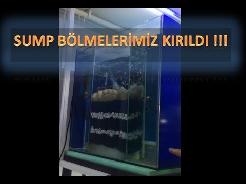 SUMP BÖLMELERİMİZ KIRILDI !!! SUMP REVİZE... SUMP CAMI NASIL KESİLİR ? SUMP BÖLMELERİ NASIL OLMALI ?