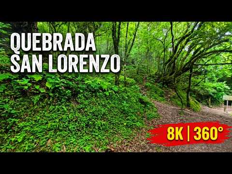 Quebrada de San lorenzo - Salta - 360° - 8k
