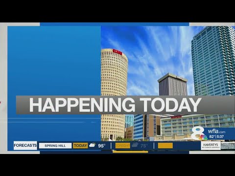 Christmas in July Toy Drive