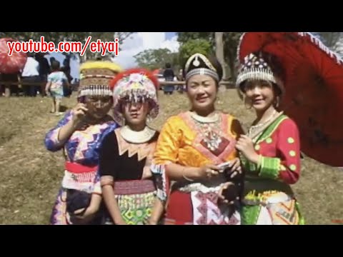 Paj Lig Vaj - Lam Sau Tsab Ntawv Noog Moo