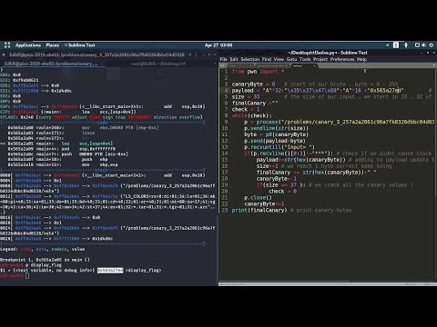 Binary Exploitation - Canary (Cookie) Bypass