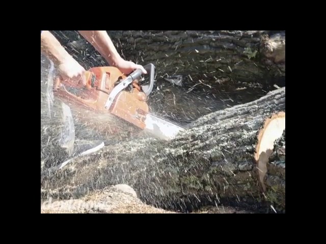 Complete Tree Service - Casper, WY