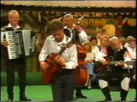 Slavko & Gregor Avsenik - Gregor Und Seine Gitarre