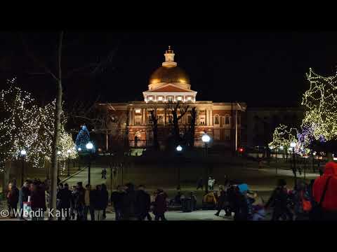 Apex 3400 - FISHSCALE Ft. SAVI