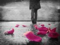 The Used - Born To Quit Lyrics