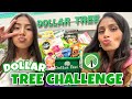 FULL FACE OF DOLLAR TREE MAKEUP CHALLENGE