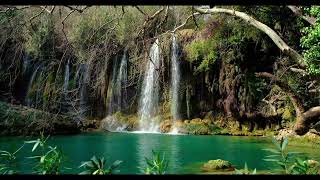 Download lagu Sangat Damai Suara Alam dan Musik Saxophone pengantar tidur | Relaxing Music | Meditation Music mp3