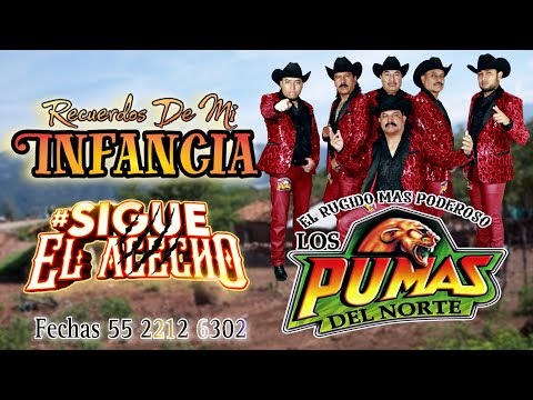 Recuerdos De Mi Infancia - Los Pumas Del Norte El Rugido Más Poderoso