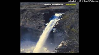 Estelle Montenegro - Commonplace