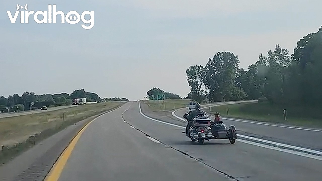 Michigan's Coolest Duo || ViralHog